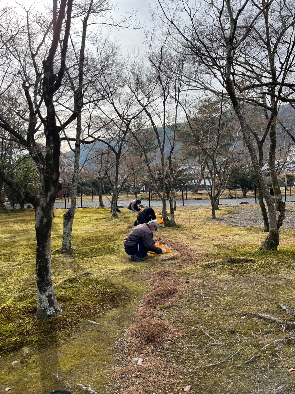 Kyoto, Japan.